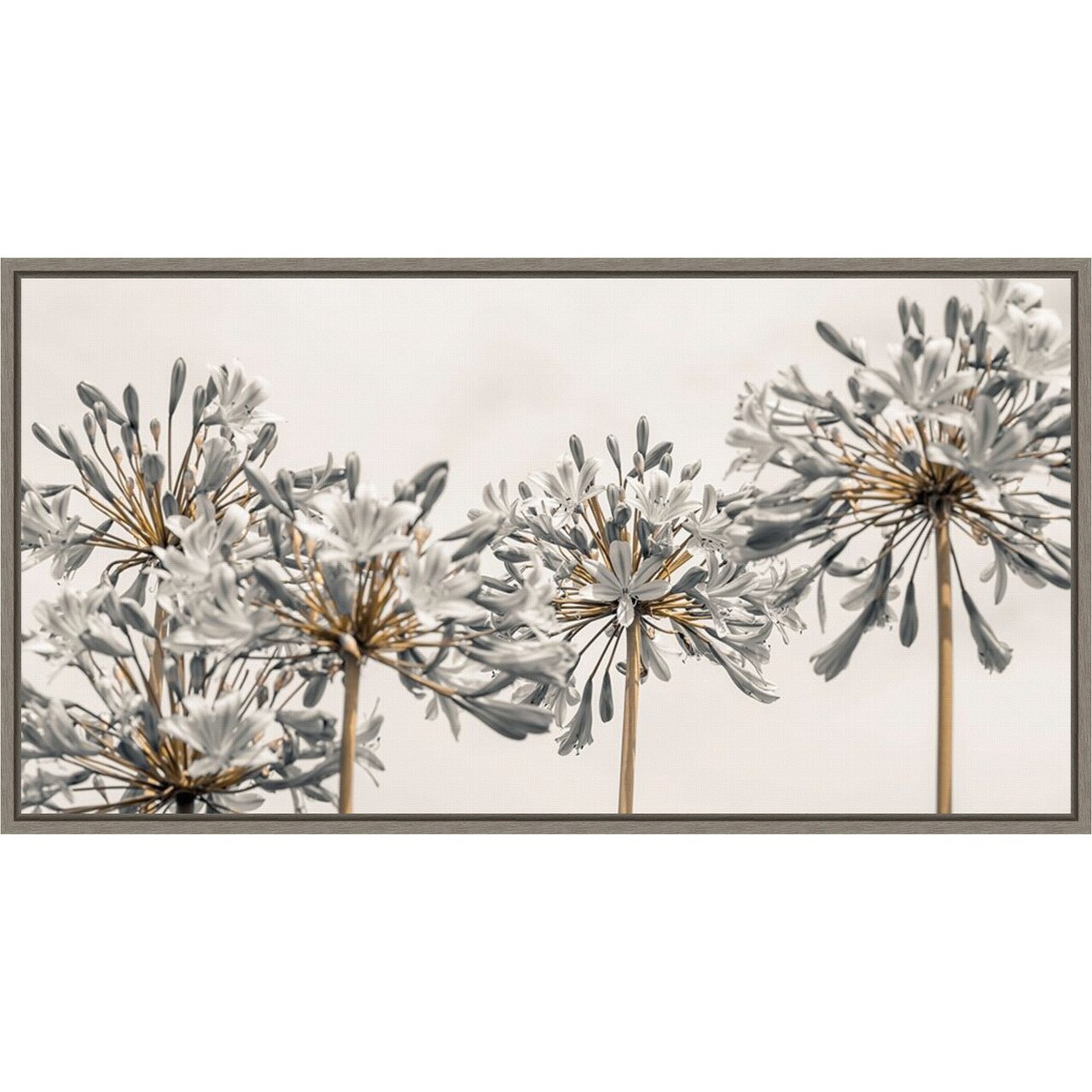 African Lily Flowers II by Assaf Frank 27-in. W x 14-in. H. Canvas Wall Art Print Framed in Grey